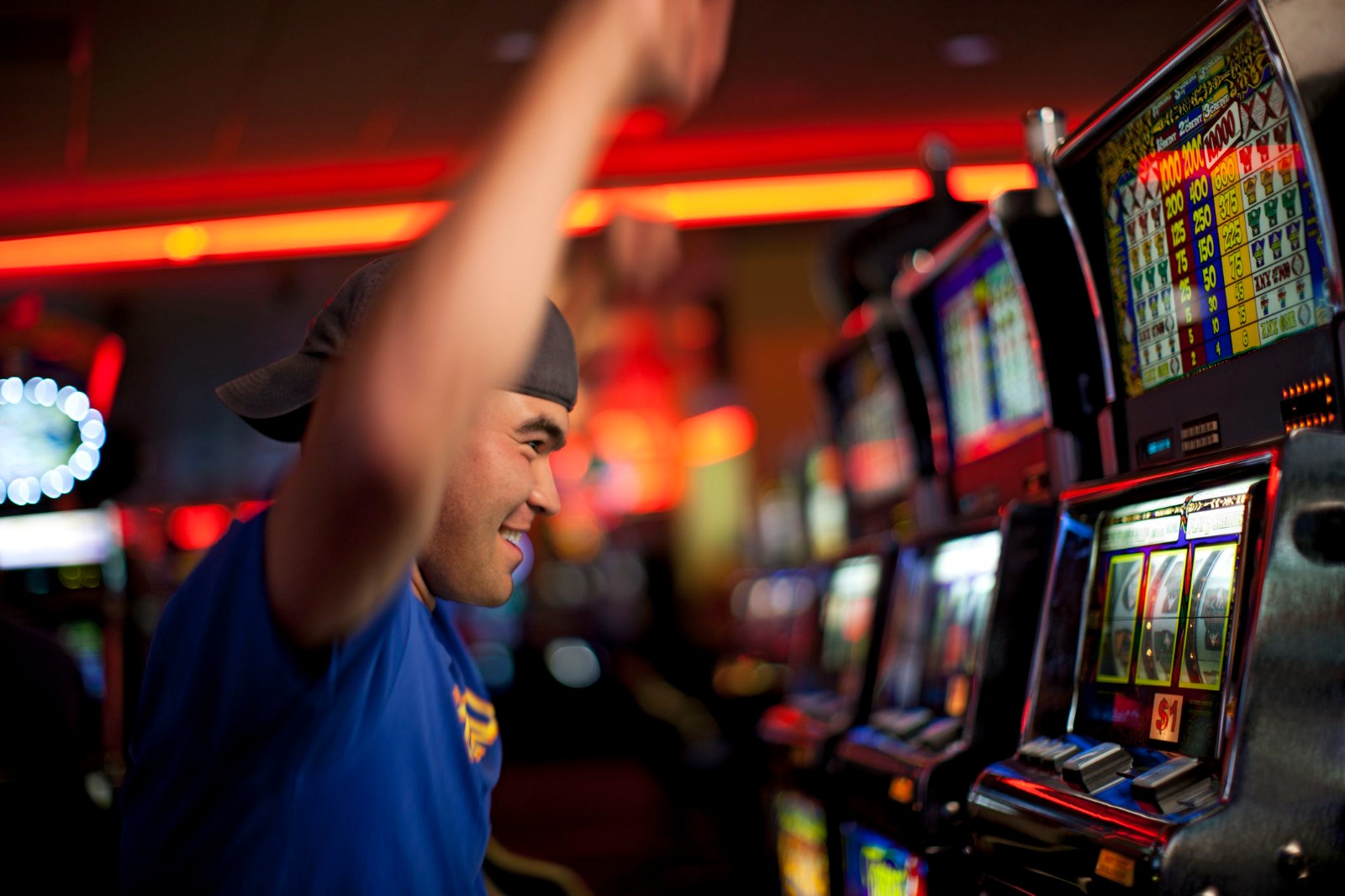 The Complete Guide to Online Casinos South Carolina: Legal Insights & Options